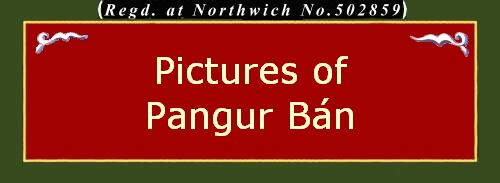 Pictures of
Pangur Bán